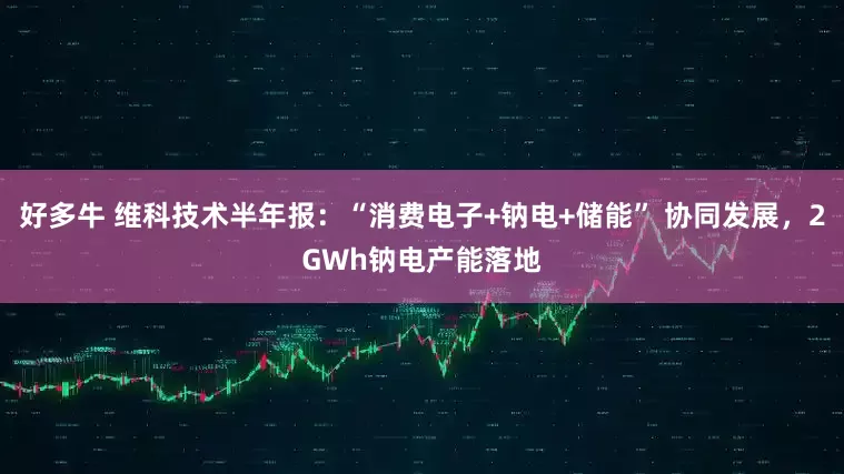 好多牛 维科技术半年报：“消费电子+钠电+储能” 协同发展，2GWh钠电产能落地