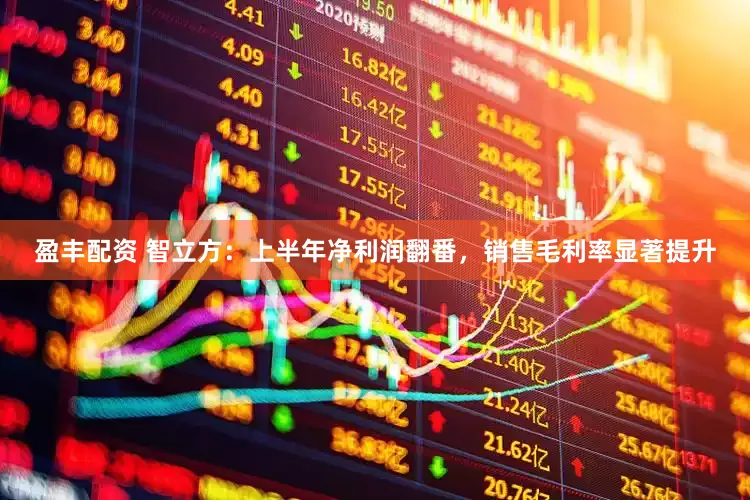 盈丰配资 智立方：上半年净利润翻番，销售毛利率显著提升